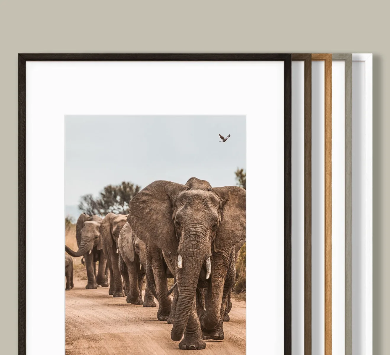 Frame Your Print